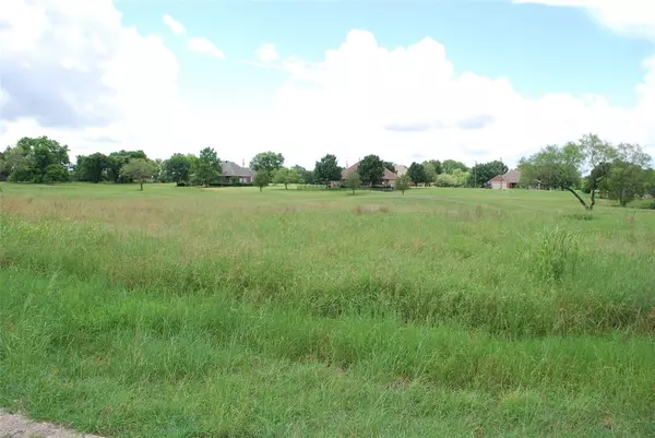 27189 Whispering Meadow Drive, Whitney, TX 76692