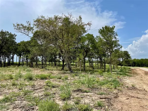 Lot 77 Greene Road, Weatherford, TX 76087