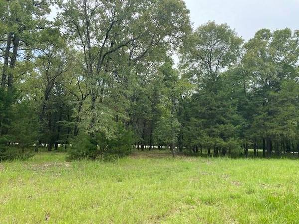 LOT 46 Hideaway Lane, Quinlan, TX 75474