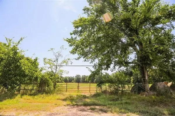 TBD County Road 45800, Blossom, TX 75416