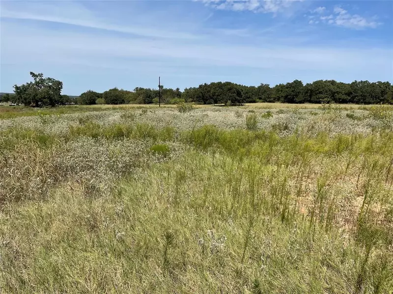 191 County Road 3594, Paradise, TX 76073