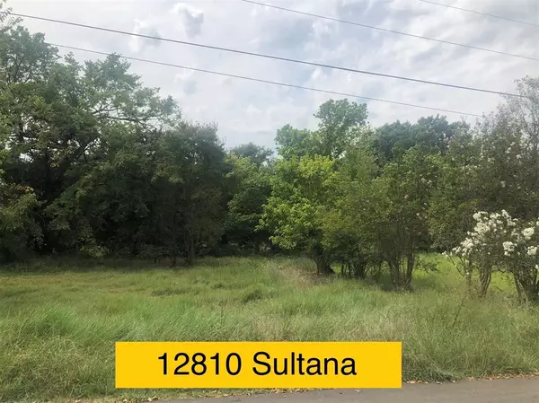12810 Sultana Street #Lot 15, Dallas, TX 75253