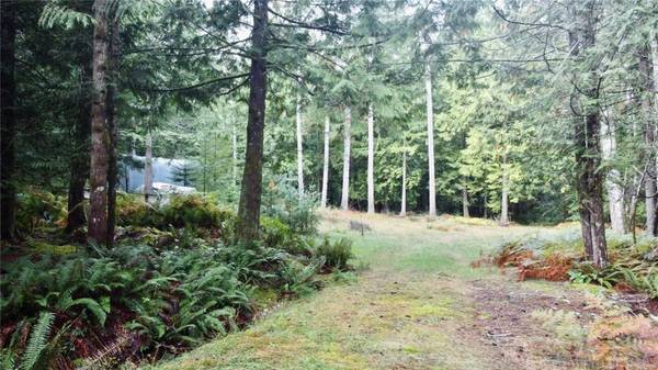 1571 SQUIRREL COVE Rd,  Cortes Island,  BC V0P 1T0