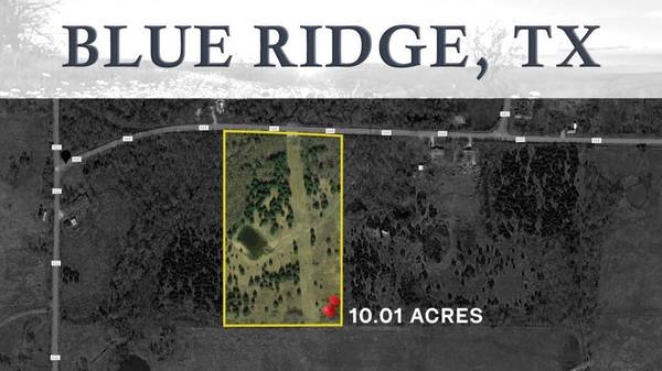 10.1 Ac County Road 668, Blue Ridge, TX 75424