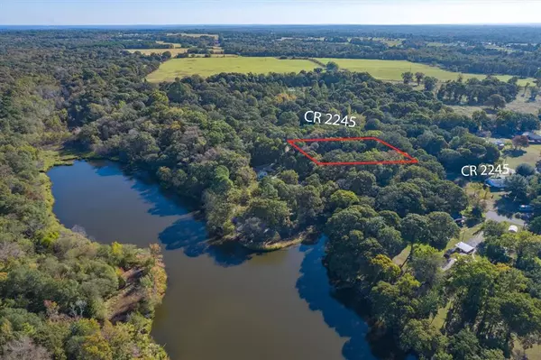 225 Cr 2245, Mineola, TX 75773