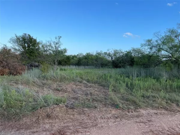 305 Red Roan Ridge, Brock, TX 76087