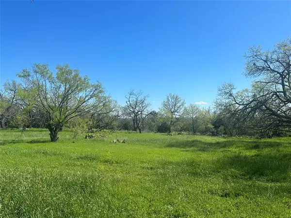 Goldthwaite, TX 76844,31 CR 249