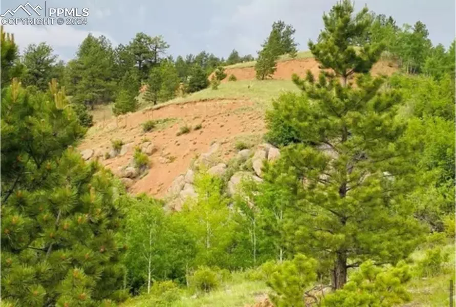 63 Wilson WAY, Cripple Creek, CO 80813