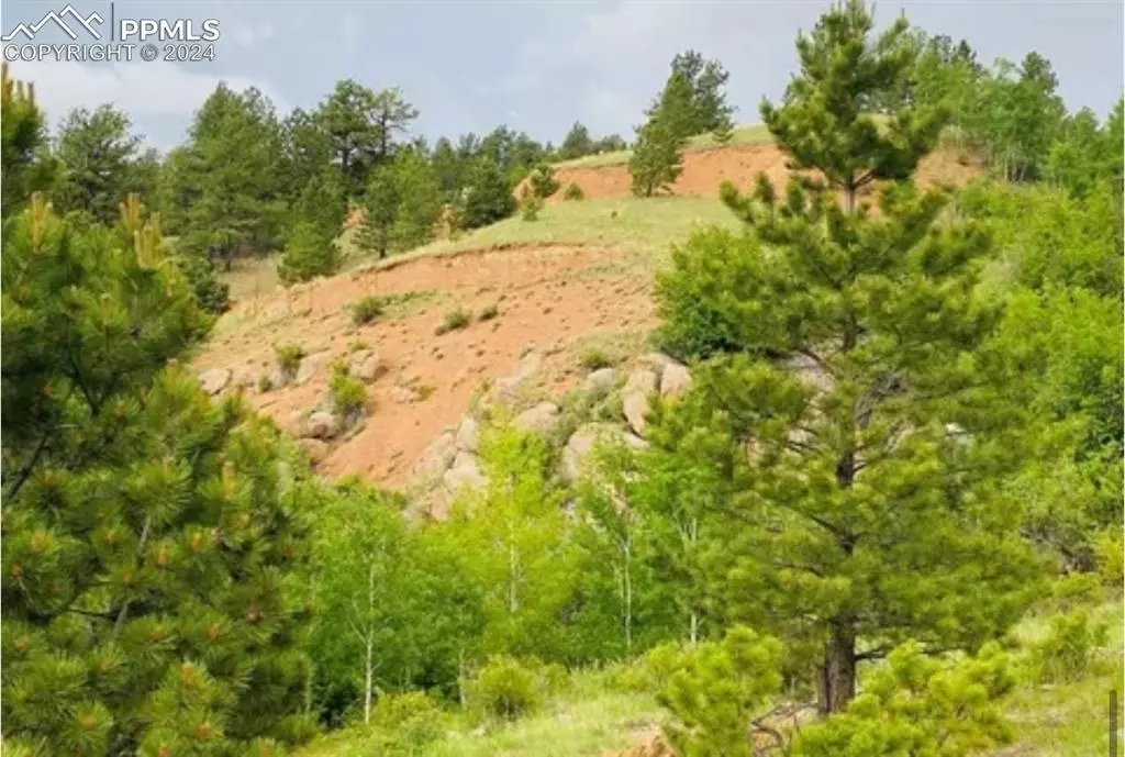 Cripple Creek, CO 80813,63 Wilson WAY