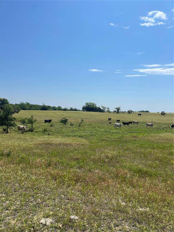 Valley View, TX 76272,Lot 1 Elm Grove Road