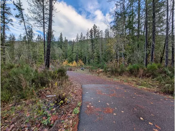 Rhododendron, OR 97049,67197 E BARLOW TRAIL RD