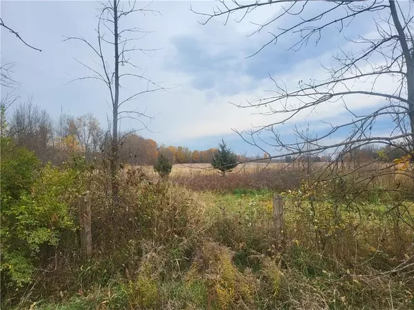 Rideau Lakes, ON K0G 1E0,Lot 5 BUSH RD