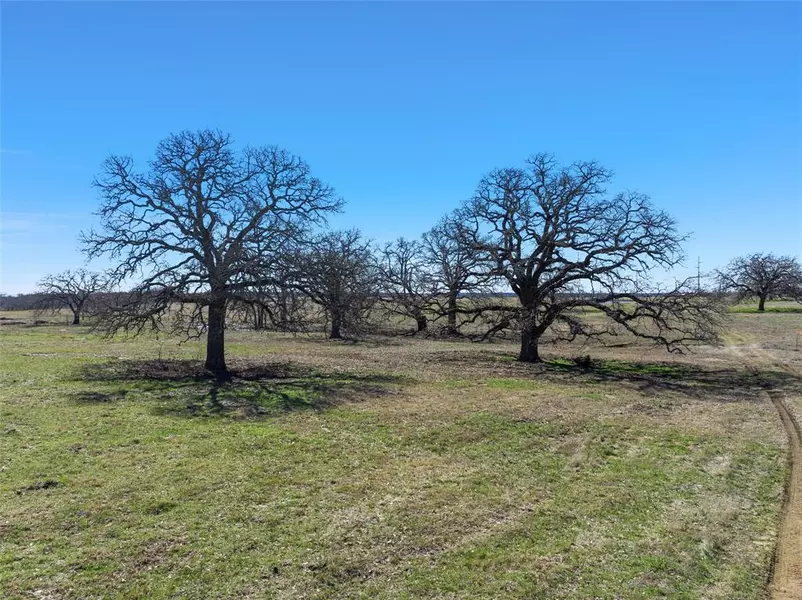 TBD 2 HCR 2124 Loop, Whitney, TX 76692