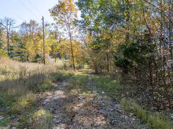 Sparta, TN 38583,19.46 Ac Fire Tower Road