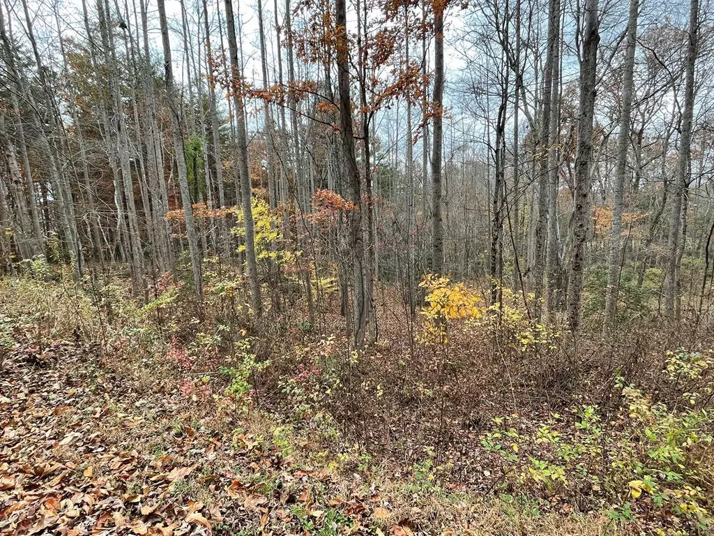 Blairsville, GA 30512,Lot 20 Hamilton Road