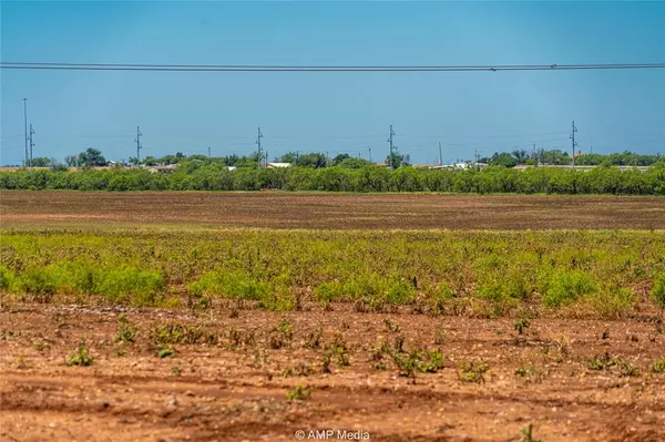 Anson, TX 79501,TBD CR 262