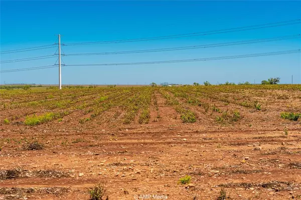 Anson, TX 79501,TBD CR 262