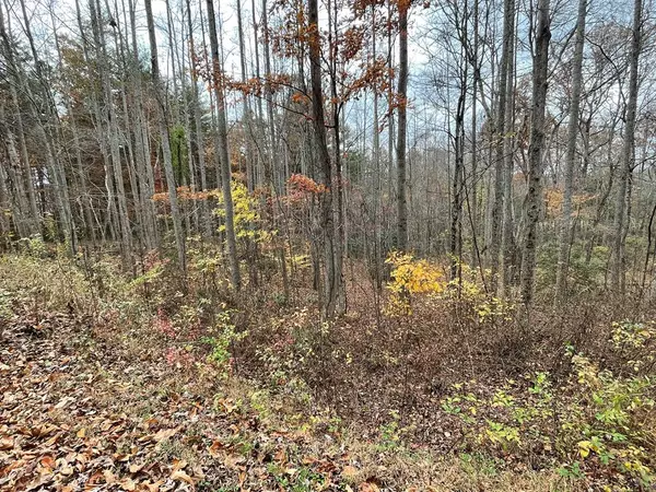 Lot 20 Hamilton Road, Blairsville, GA 30512