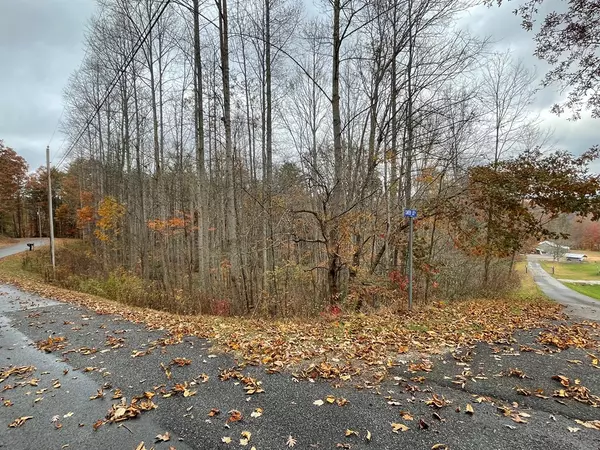 Blairsville, GA 30512,Lot 20 Hamilton Road