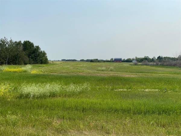 Rural Camrose County, AB T0C 0L0,On Range Road 212