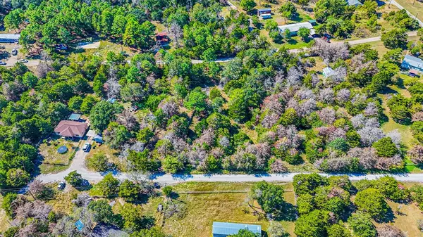 Purdon, TX 76679,Lot 162 NW CR 3112