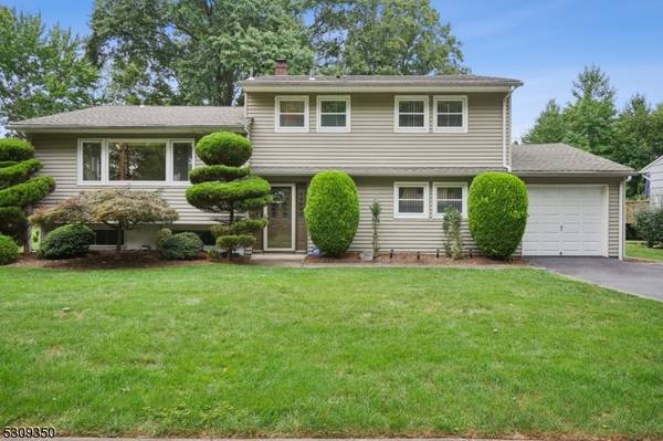 42 Sycamore Ter,  Springfield Twp.,  NJ 07081