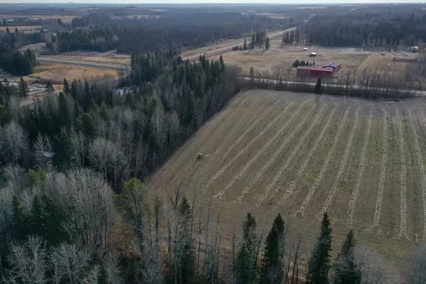 Rural Brazeau County, AB T0E1Z0,On Township Road 491