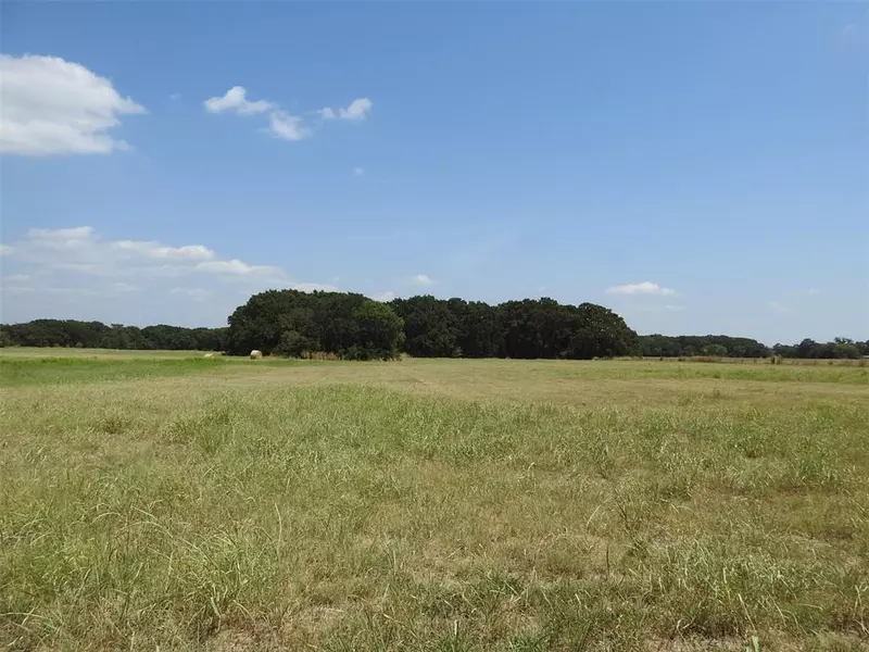 TBD County Road 2235, Ivanhoe, TX 75447