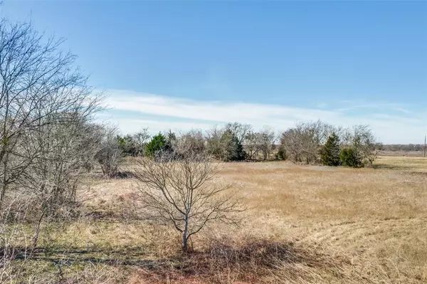 Wills Point, TX 75169,TBD Lot 12 VZ County Road 3416