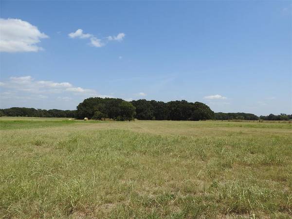 TBD County Road 2235,  Ivanhoe,  TX 75447