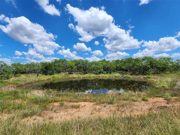 Carbon, TX 76435,TBD CR 183