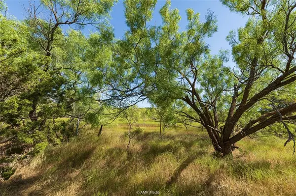 TBD FM 1086, Ovalo, TX 79541