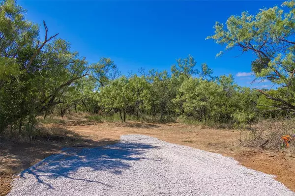 2029 Lot 4 Highway 183, Cisco, TX 76437