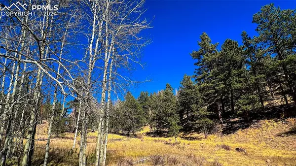 Cripple Creek, CO 80813,434 Dandy Jim DR