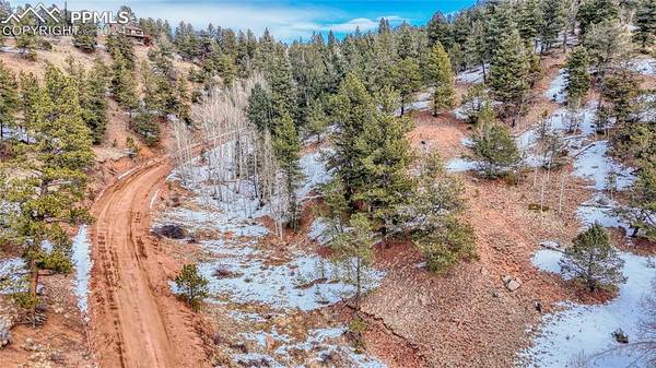 204 Idlewild DR, Cripple Creek, CO 80813