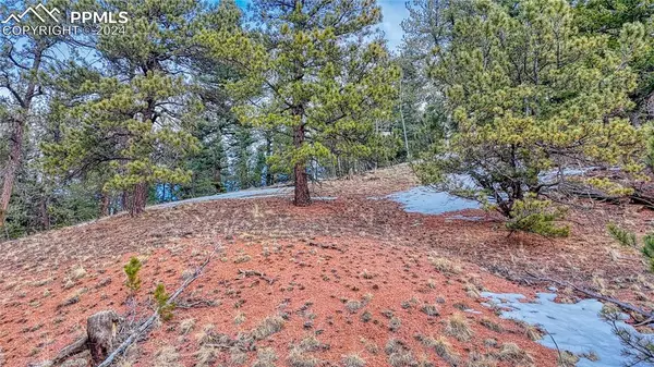 Cripple Creek, CO 80813,204 Idlewild DR