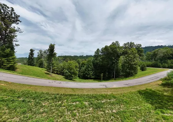 Blairsville, GA 30512,Lot 118 Riverside On Lake Nottely