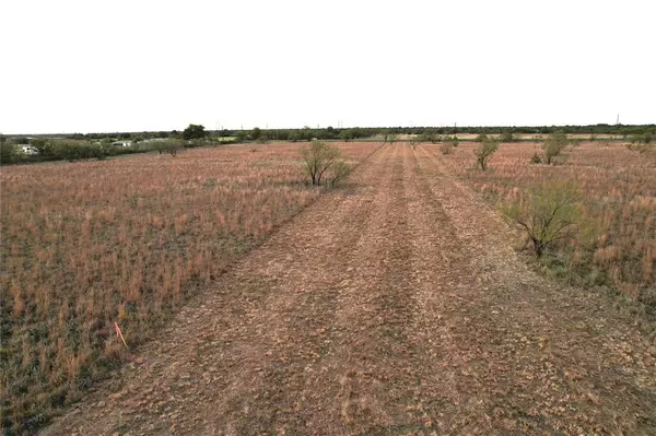 Hawley, TX 79525,Lot 12 TBD FM 1226