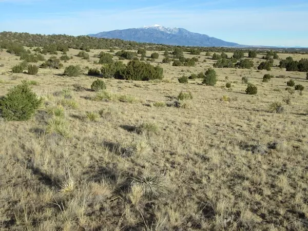 Walsenburg, CO 81089,lot 19 Rio Cucharas