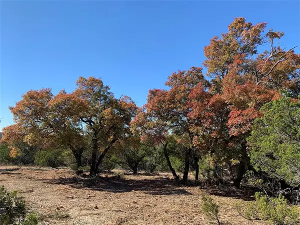 21.576 Acres FM 89, Tuscola, TX 79562