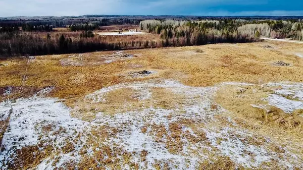 Rural Ponoka County, AB T0C 0C0,On Township 444