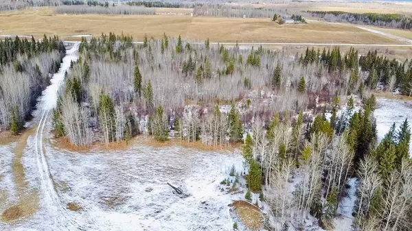 Rural Ponoka County, AB T0C 0C0,On Township 444