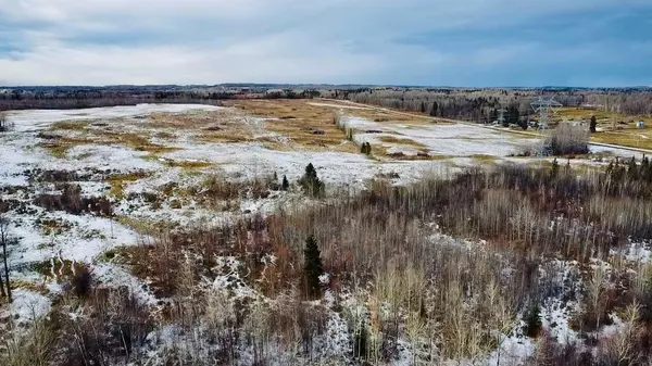 On Township Road 444, Rural Ponoka County, AB T0C 0C0