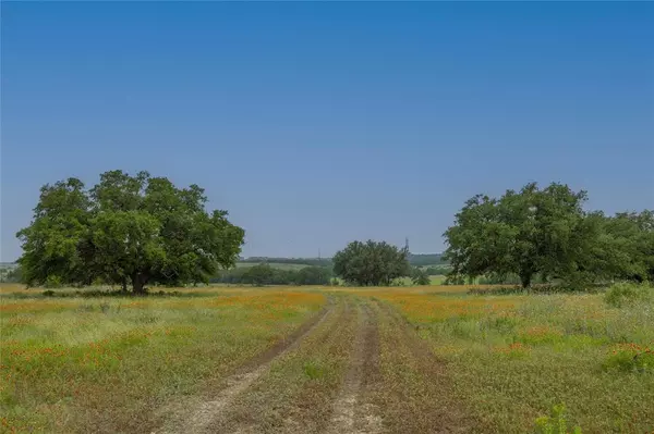 Goldthwaite, TX 76844,TBD Tract 3 Farm to Market 572 E