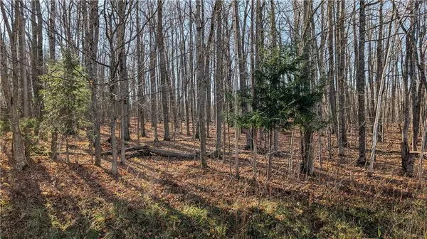 Alexandria, ON K0C 1A0,n/a COUNTY 30 RD