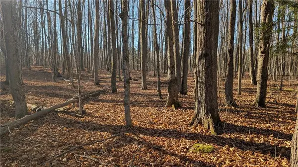 Alexandria, ON K0C 1A0,n/a COUNTY 30 RD