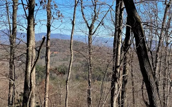 Blue Ridge, GA 30513,LT 5 Sunrock Mountain Trc