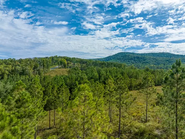 Talking Rock, GA 30175,Lot 299 Twisted Oak Road