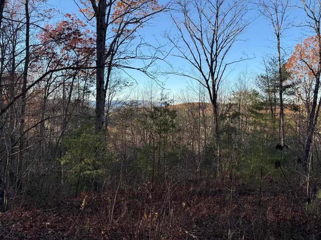 Blue Ridge, GA 30513,1.35 AC Plantation Lane