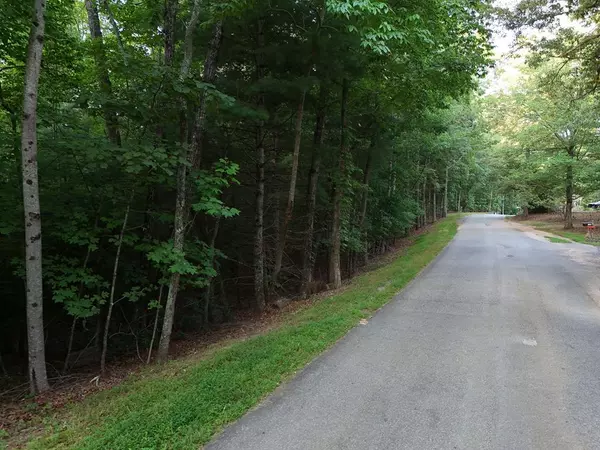 1 acre Jones Road, Blairsville, GA 30512